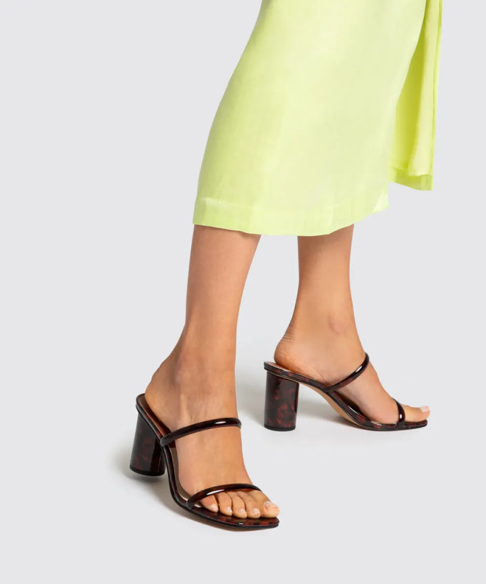 Noles Heels Tortoise